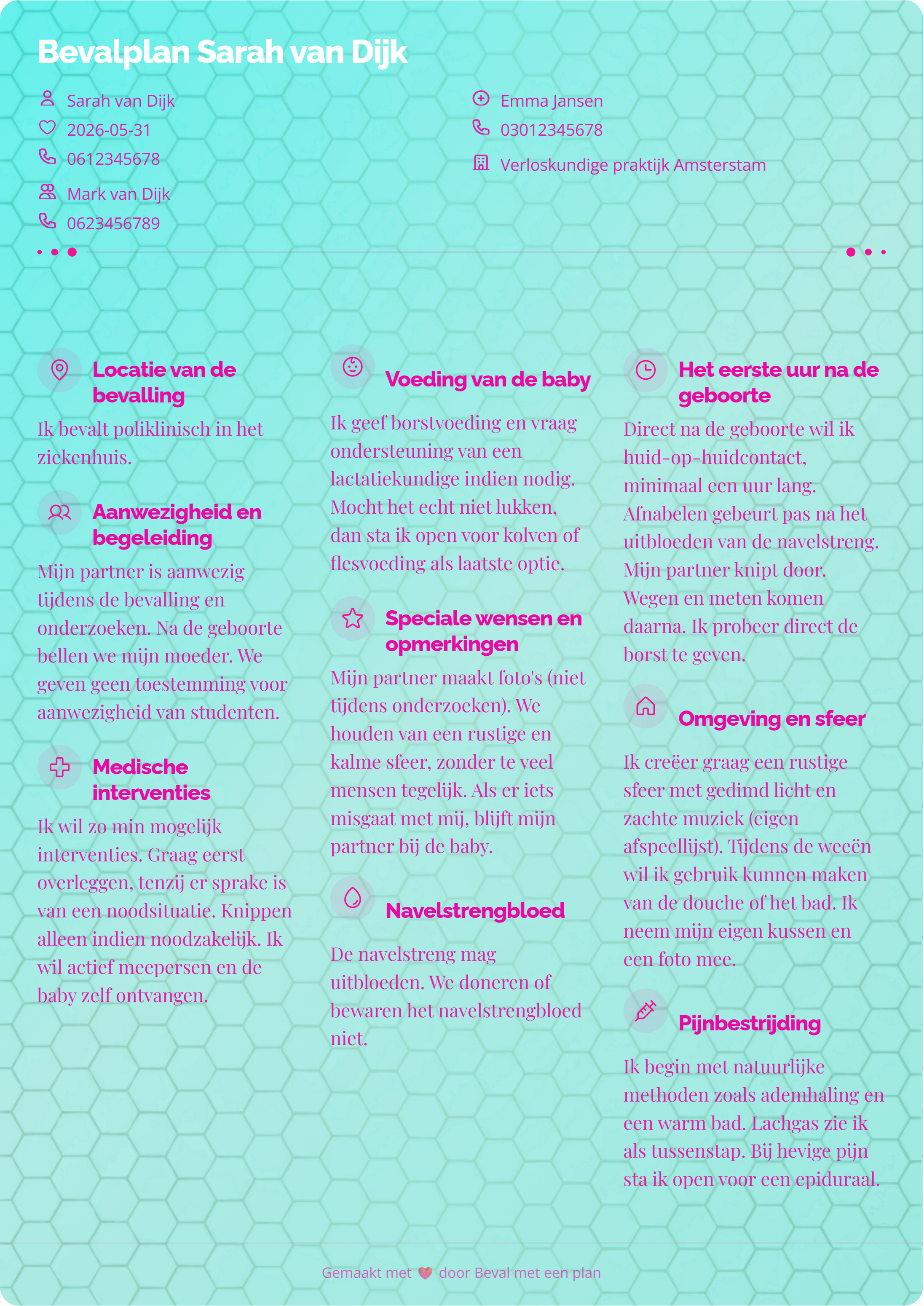 Beispiel Geburtsplan 2 – persönliche Geburtsplan-Vorlage