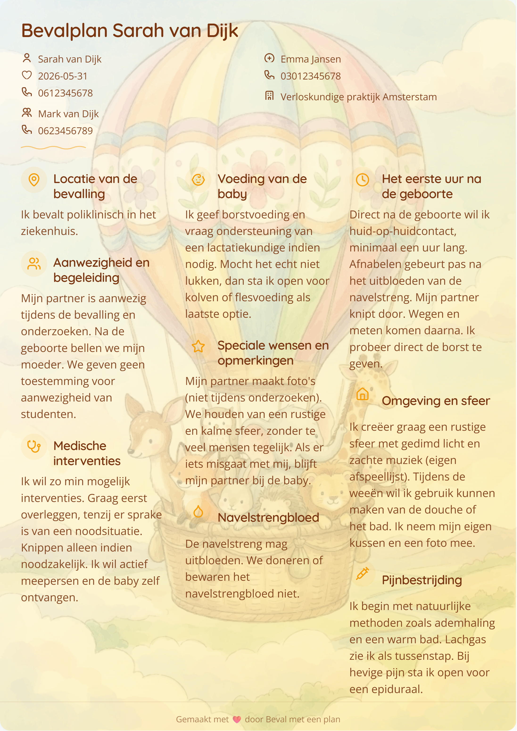Beispiel Geburtsplan 3 – persönliche Geburtsplan-Vorlage